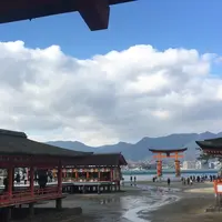 厳島神社の写真・動画_image_232489