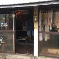 ZIGの写真・動画_image_232509