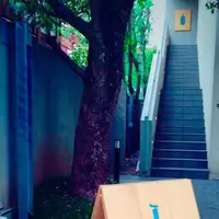 ブルーボトルコーヒー（Blue Bottle Coffee）青山店の写真・動画_image_232579