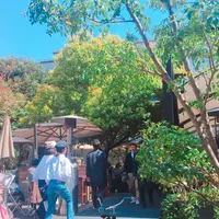 crisscross （クリスクロス）の写真・動画_image_232586