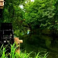 大王わさび農場の写真・動画_image_233185