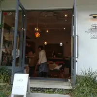 coccaの写真・動画_image_233442