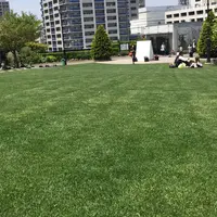 アメリカ山公園の写真・動画_image_233505