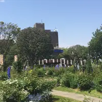 港の見える丘公園の写真・動画_image_233507