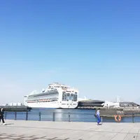 象の鼻パークの写真・動画_image_233517