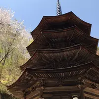 安楽寺の写真・動画_image_233531