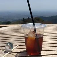 大山阿夫利神社の写真・動画_image_233577