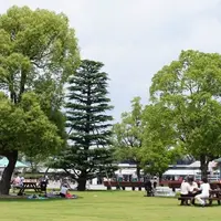 京都競馬場の写真・動画_image_233701