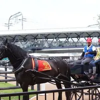 京都競馬場の写真・動画_image_233710