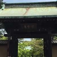 豪徳寺の写真・動画_image_233725