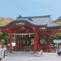 鶴岡八幡宮の写真・動画_image_233929