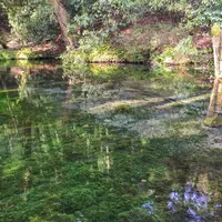 池山水源の写真・動画_image_234142