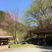 立岩水源公園の写真・動画_image_234144