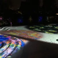 高台寺の写真・動画_image_234351