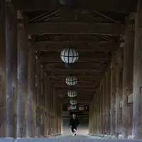 長谷寺の写真・動画_image_234388
