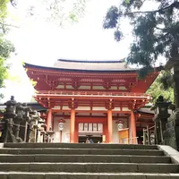 春日大社の写真・動画_image_234390