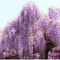 上下水道局 鳥羽水環境保全センターの写真・動画_image_234399