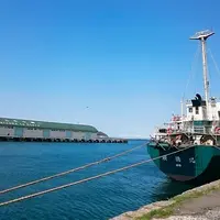 小樽港の写真・動画_image_234446