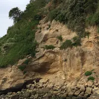 猿島の写真・動画_image_234460