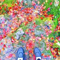 神戸岩の写真・動画_image_234712