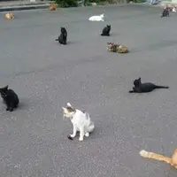 御誕生寺の写真・動画_image_234876