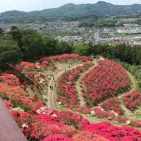 笠間つつじ公園の写真・動画_image_235038