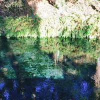 白川水源の写真・動画_image_235121