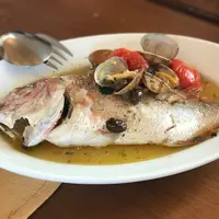 オステリア ベッカフィーコの写真・動画_image_235129