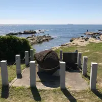 洲崎神社の写真・動画_image_235248