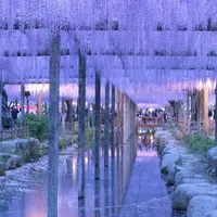 天王川公園の写真・動画_image_235277