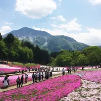 羊山公園の写真・動画_image_235295