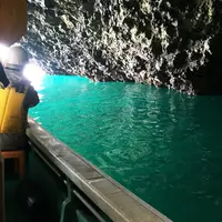 矢越クルーズ(矢越海岸アドベンチャーズのりば)の写真・動画_image_235311