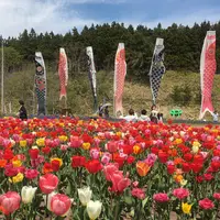 サラキ岬の写真・動画_image_235312