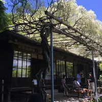 英勝寺の写真・動画_image_235321