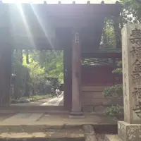 寿福寺の写真・動画_image_235326