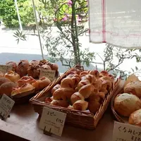 ブレッド＆バターの写真・動画_image_235522