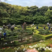 旧古河庭園の写真・動画_image_235673