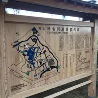 旧古河庭園の写真・動画_image_235679