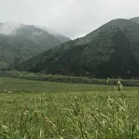 大山隠岐国立公園　三瓶山の写真・動画_image_235706