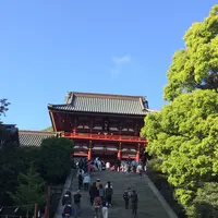 鶴岡八幡宮の写真・動画_image_235791