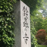 鈴虫寺（華厳寺）の写真・動画_image_235843