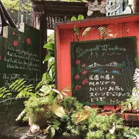 ブーケダルブルの写真・動画_image_236013