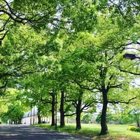 大井ふ頭海浜公園の写真・動画_image_236018