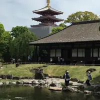 伝法院の写真・動画_image_236025