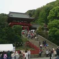 鶴岡八幡宮の写真・動画_image_236080