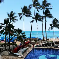 Hula Grill Waikikiの写真・動画_image_236150