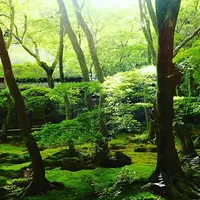 祇王寺の写真・動画_image_236214