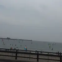 逗子海岸の写真・動画_image_236229