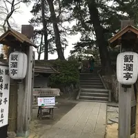 観瀾亭の写真・動画_image_236245