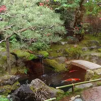 洛匠の写真・動画_image_236251